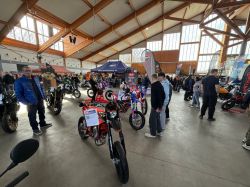 IMG 7010